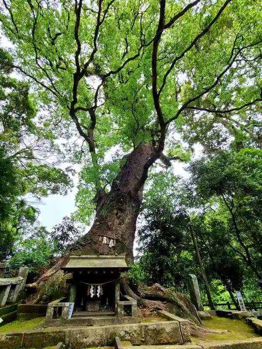 生目神社の自然