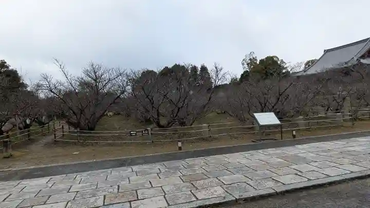 仁和寺(京都府)