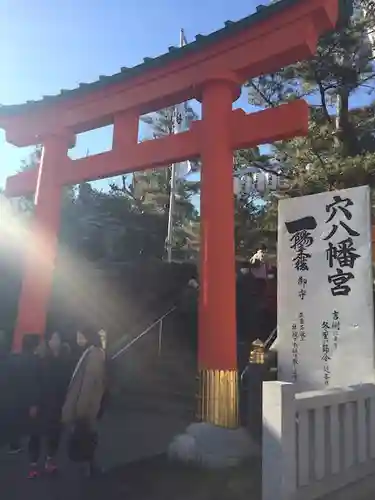 穴八幡宮の鳥居