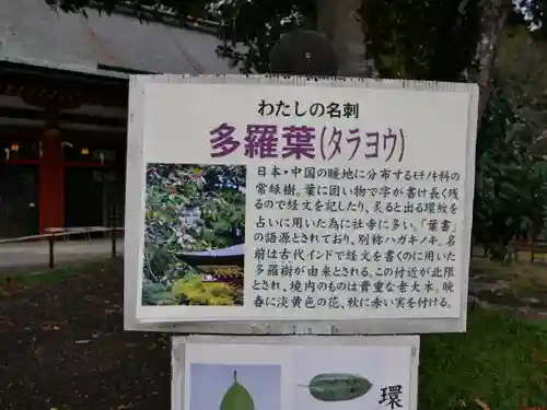 志波彦神社・鹽竈神社の建物その他