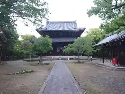 妙興報恩禅寺(妙興寺)の本殿・本堂