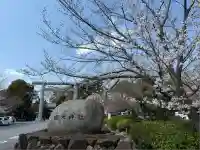 櫻木神社(千葉県)