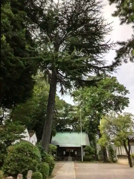 田端神社(東京都)