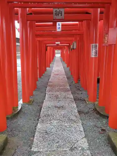 小泉稲荷神社の鳥居