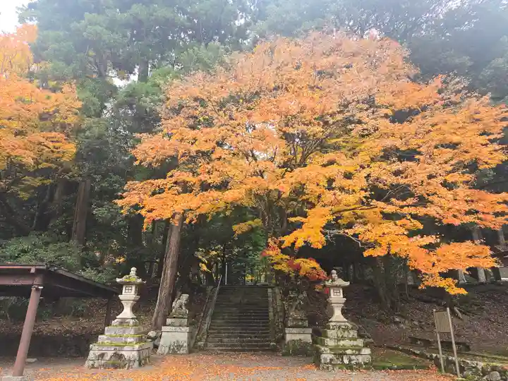 地主神社(滋賀県)