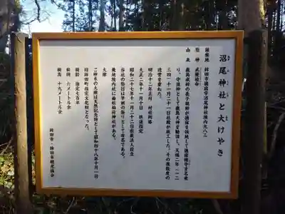 沼尾神社の歴史