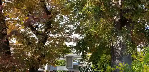 福森稲荷神社(東京都)