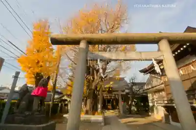飛木稲荷神社(東京都)