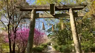 吉備津岡辛木神社(岡山県)