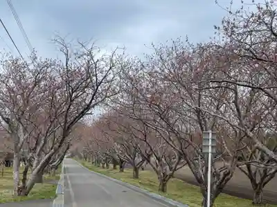 石崎地主海神社の周辺
