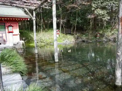 富士山本宮浅間大社(静岡県)
