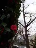 待乳山聖天(本龍院)の自然