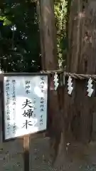 常陸第三宮　吉田神社の歴史