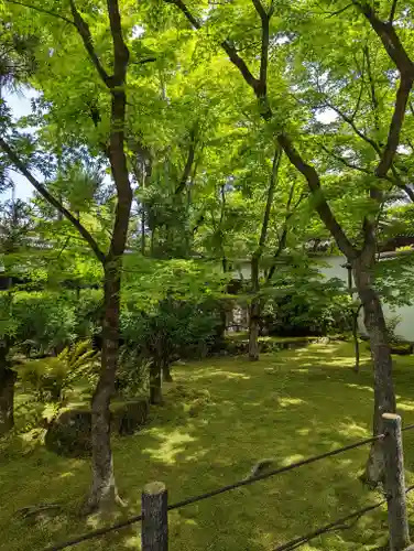 禅林寺（永観堂）(京都府)