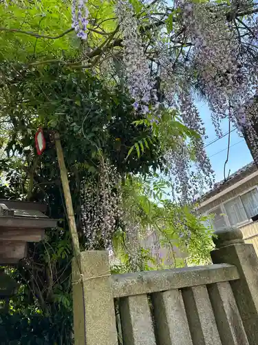 伊勢玉神社(富山県)
