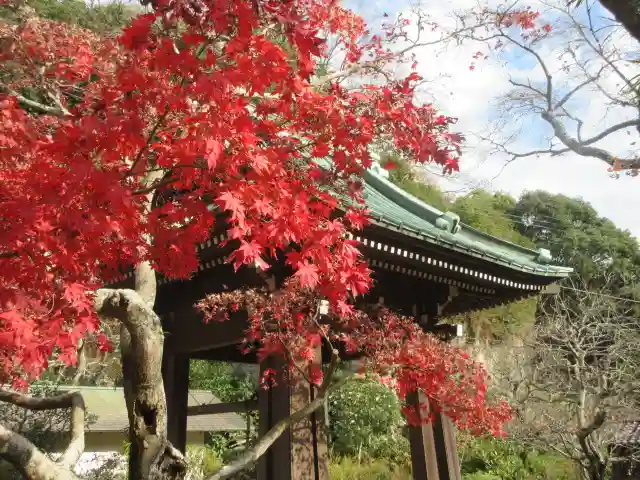 海蔵寺のその他建物