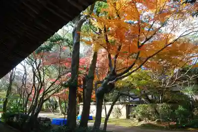 覚苑寺(山口県)