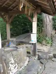 山代神社の手水