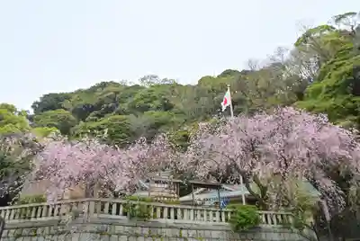 根岸八幡神社(神奈川県)