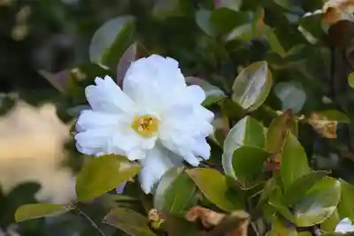 善水寺(滋賀県)