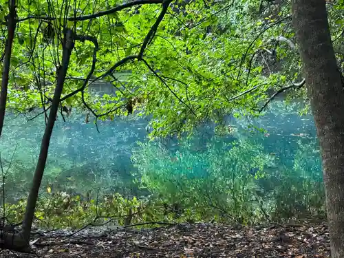 丸池神社(山形県)