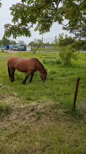 大楽毛神社(北海道)