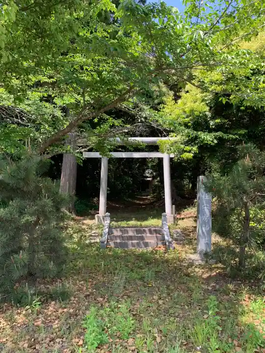安房神社(千葉県)