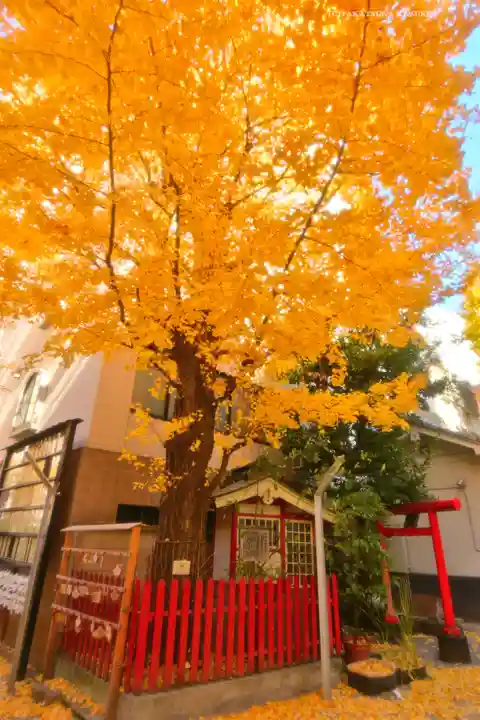 銀杏岡八幡神社(東京都)