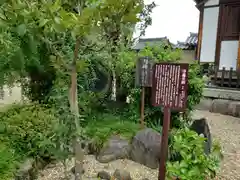 飛鳥寺の庭園