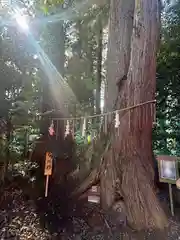 坪沼八幡神社(宮城県)