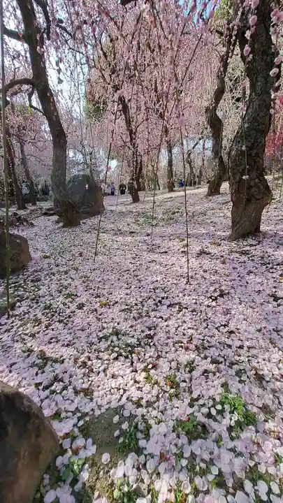 城南宮(京都府)