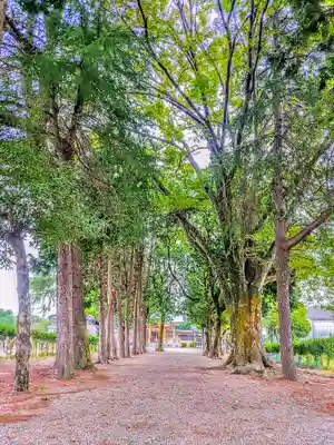 八幡社（西本地）のその他建物