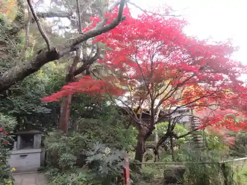 浄光明寺(神奈川県)