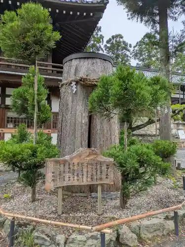 伊太祁曽神社(和歌山県)