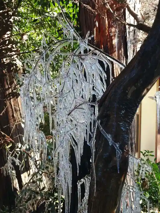 大前神社(栃木県)