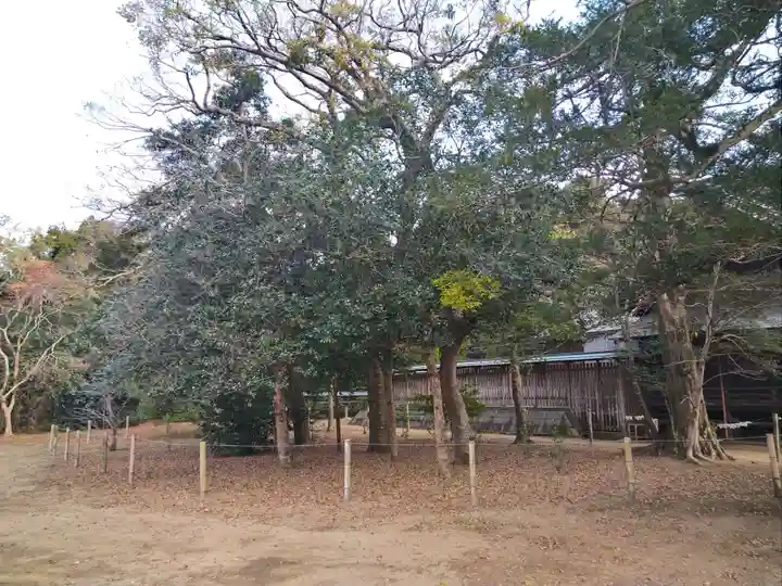 鎌数伊勢大神宮の自然