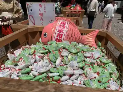 川越氷川神社のおみくじ