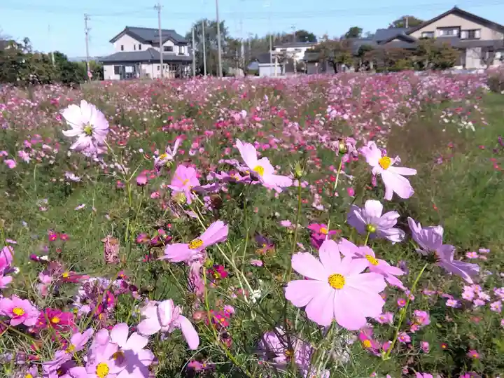 白山神社(福井県)