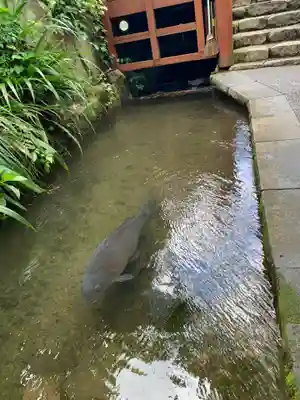 左京稲荷神社(岐阜県)