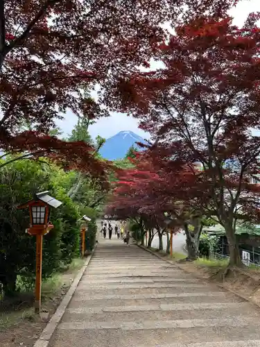 新倉富士浅間神社(山梨県)