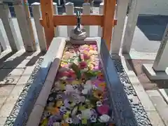 阿保神社の手水