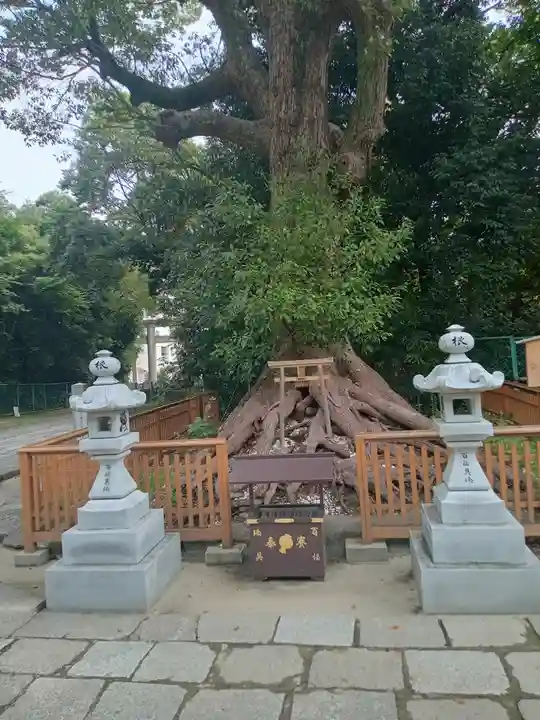 和泉國一之宮 大鳥大社(大阪府)