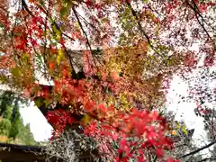 新海三社神社(長野県)