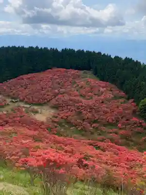 葛城山神社の{uncategorized: "未分類", other: "その他", undefined: "問題あり", building: "その他建物", grave: "お墓", sacred_gate: "鳥居", guardian: "狛犬", statue: "像", buddha: "仏像", history: "歴史", nature: "自然", garden: "庭園", animal: "動物", pagoda: "塔", temizu: "手水舎", mountain_gate: "山門・神門", sanctuary: "本殿・本堂", subordinate: "末社・摂社", art: "芸術", scenery: "景色", jizo: "地蔵", ema: "絵馬", goshuin: "御朱印", omikuji: "おみくじ", items: "授与品その他", amulet: "お守り", goshuincho: "御朱印帳", eats: "食事", festival: "お祭り", votive_dance: "神楽", shichigosan: "七五三参", wedding: "結婚式", experience: "体験その他", initially: "初詣", around: "周辺", anti_infection: "感染症対策"}