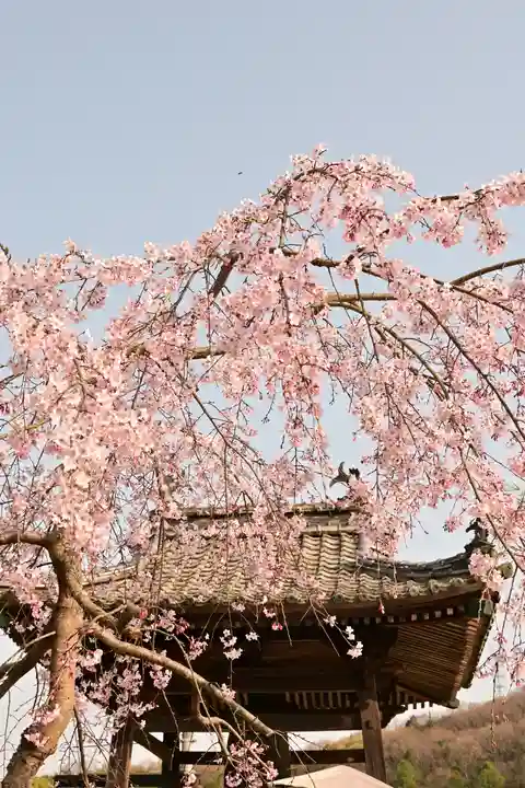無量寺(愛媛県)