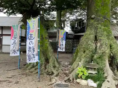 八枝神社(埼玉県)