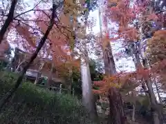 石山寺(滋賀県)