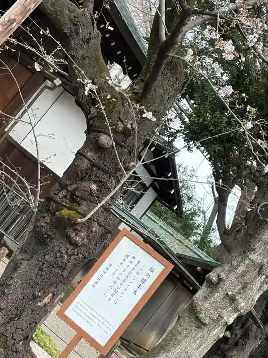 靖國神社(東京都)