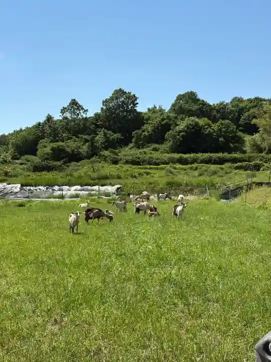 諏訪神社(広島県)