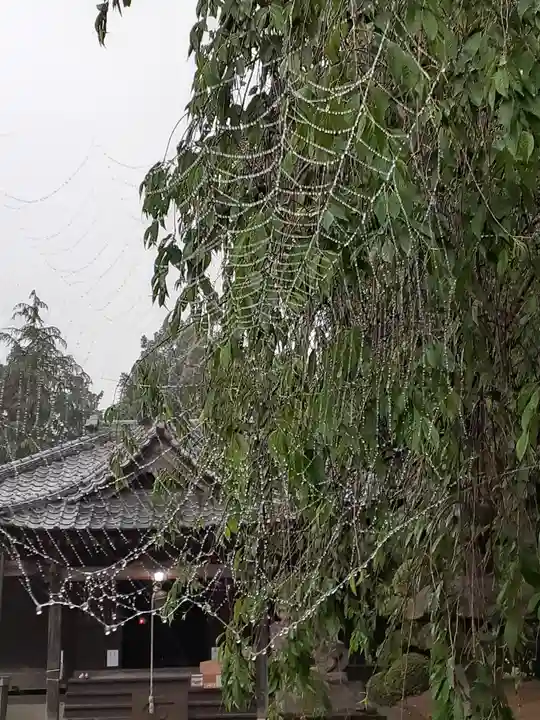 伏木香取神社の自然
